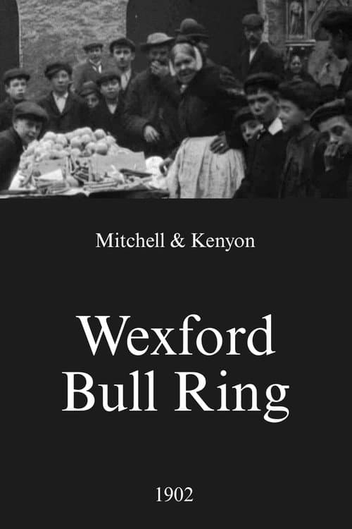 Poster for Wexford Bull Ring