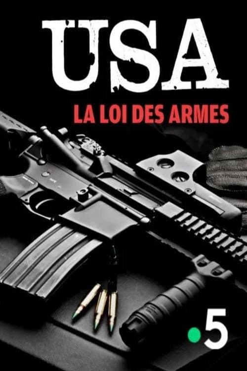 Poster for The US and Their Guns: An American Story