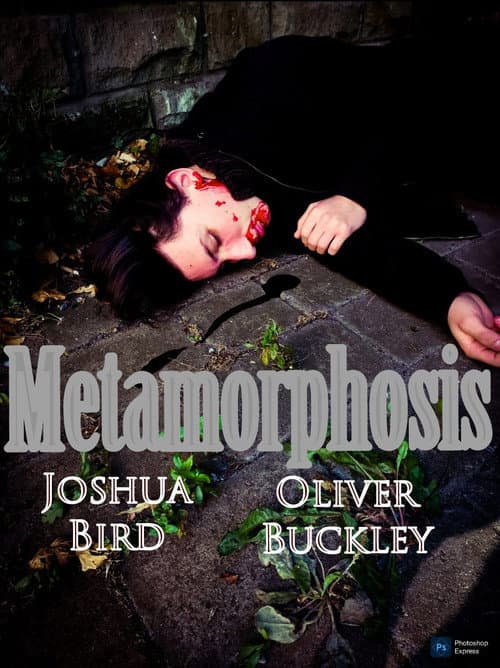 Poster for Metamorphosis
