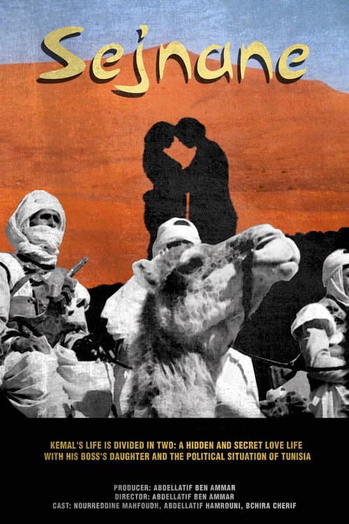 Poster for Sejnane