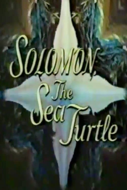 Poster for Solomon, the Sea Turtle