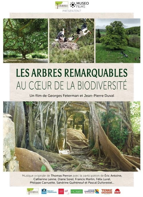 Poster for Les arbres remarquables au cœur de la biodiversité