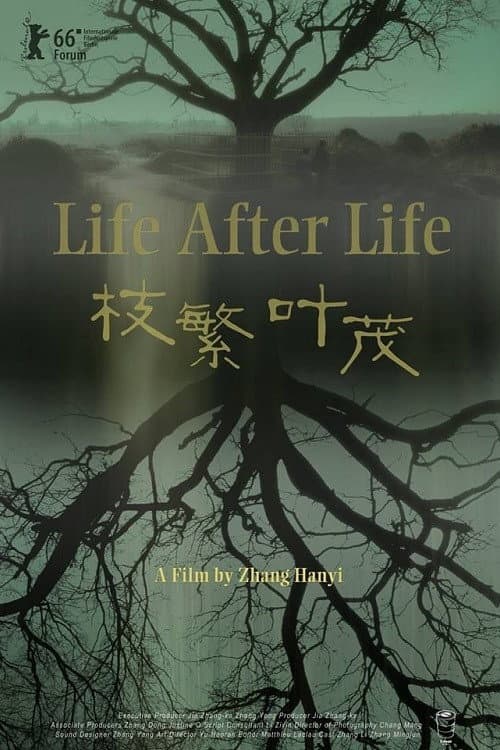 Poster for Life After Life