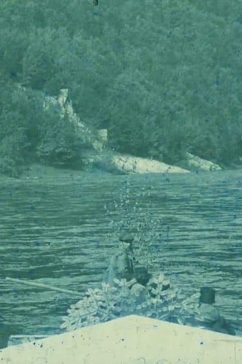 Poster for Midsummer Currents