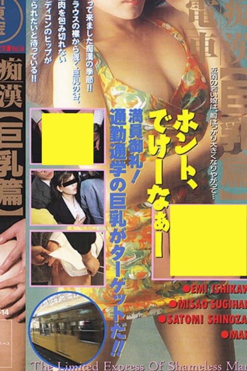 Poster for Groper Train: Lots of Big Breasts