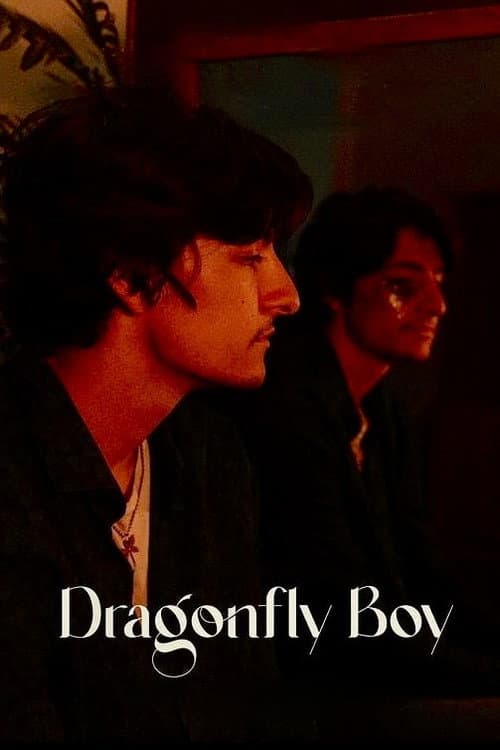 Poster for Dragonfly Boy