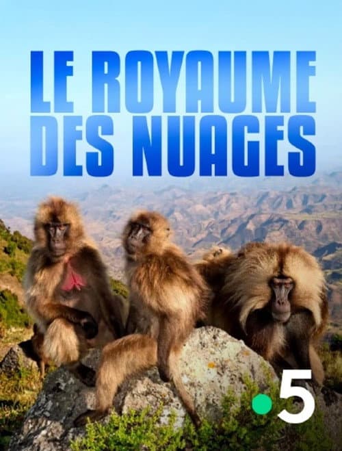 Poster for Le royaume des nuages