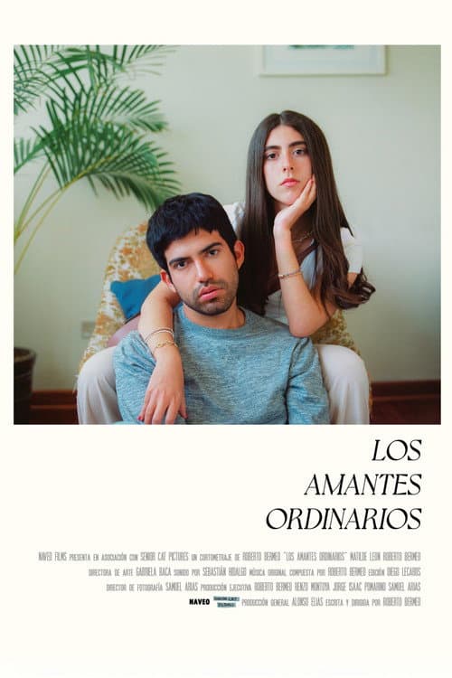 Poster for The Ordinary Lovers