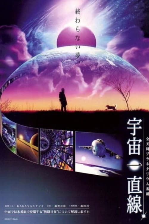 Poster for Straight into the Universe