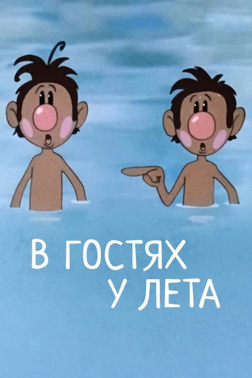 Poster for Visiting Summer