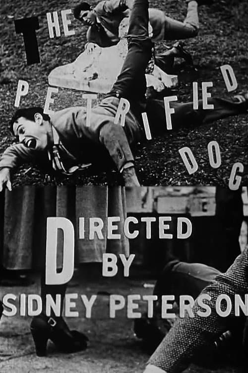 Poster for The Petrified Dog