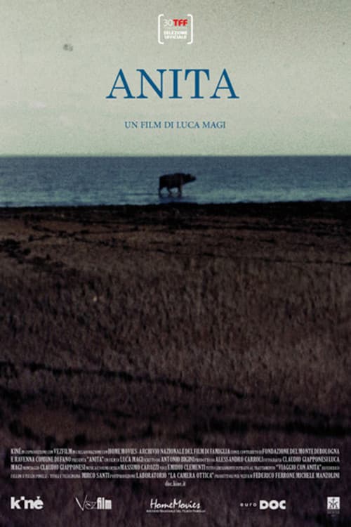 Poster for Anita