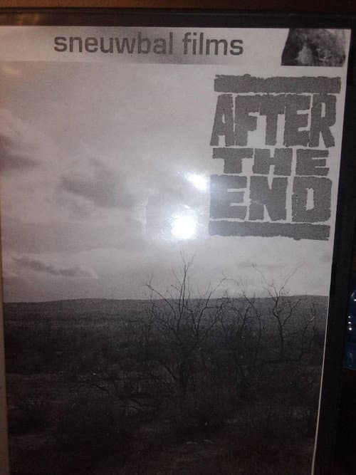 Poster for After The End