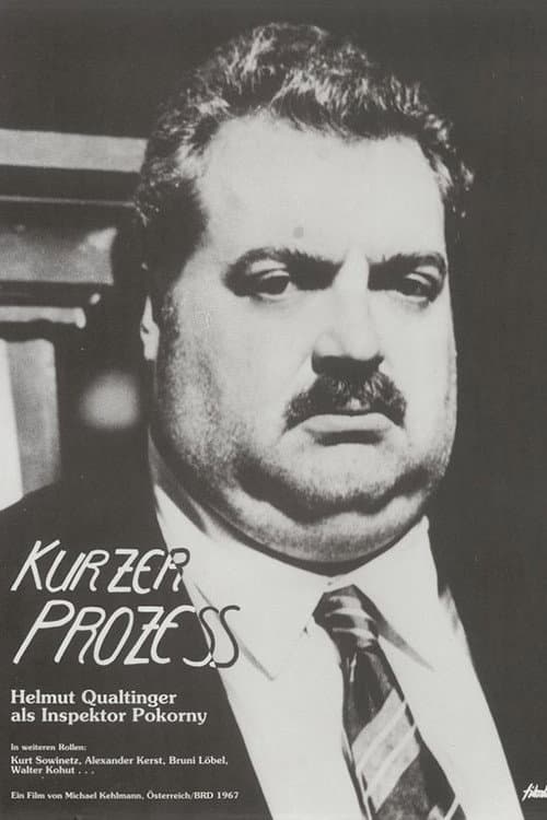 Poster for Kurzer Prozeß