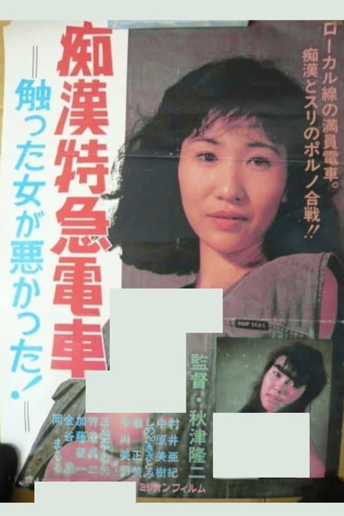 Poster for The Molester Express: It's the Woman's Own Fault She Got Touched!