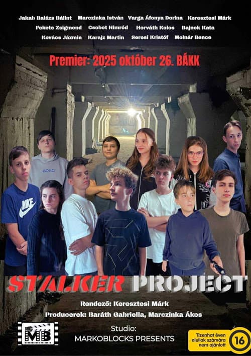 Poster for Stalker Project