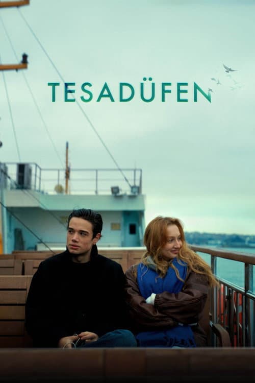 Poster for Coincidentally
