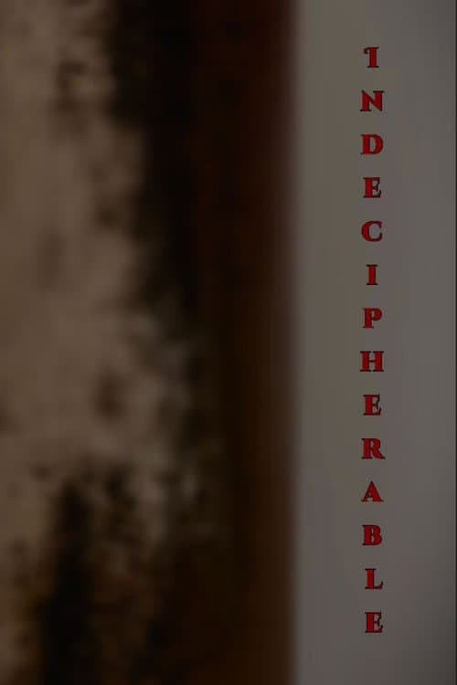 Poster for Indecipherable