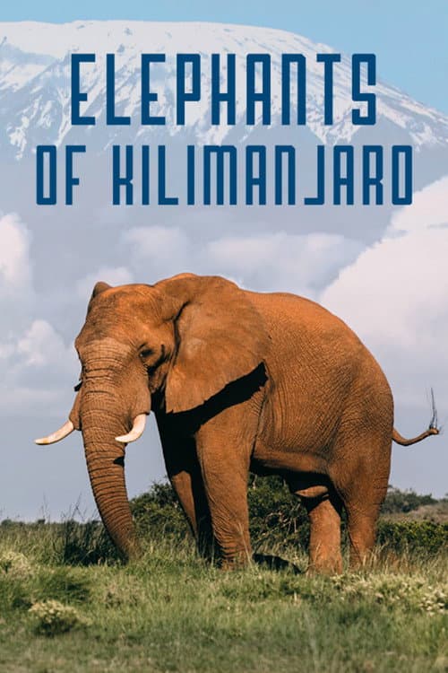 Poster for Elephants of Kilimanjaro