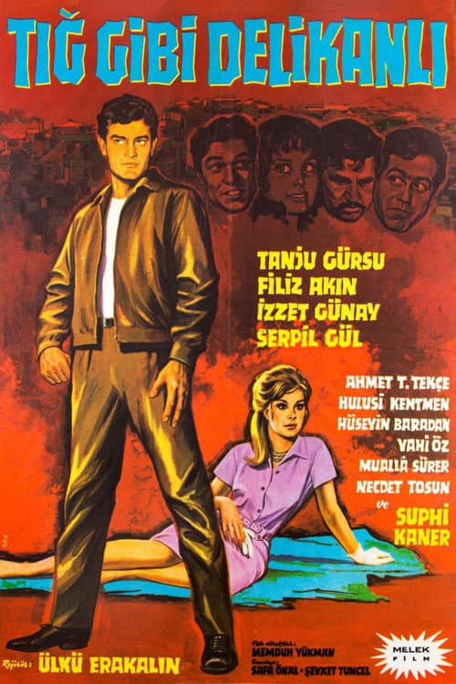 Poster for Tığ Gibi Delikanlı
