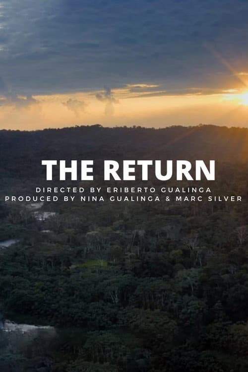 Poster for The Return