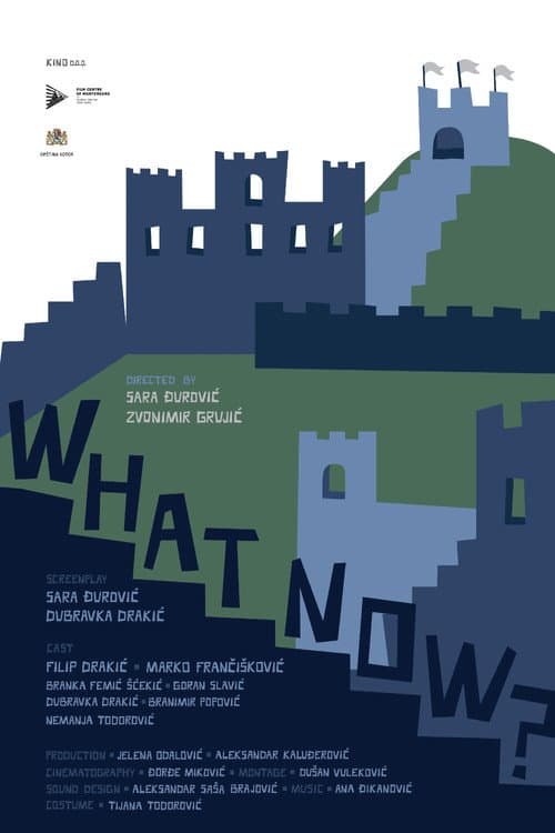 Poster for What Now?