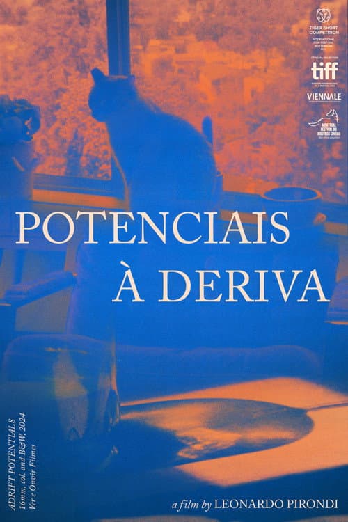 Poster for Adrift Potentials