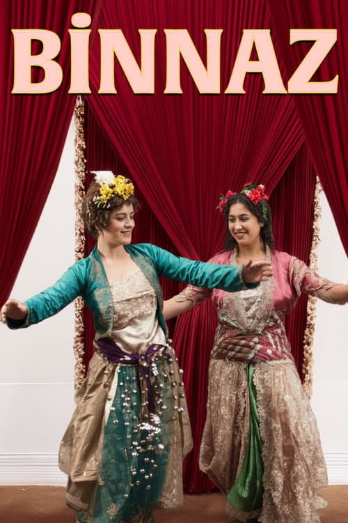 Poster for Binnaz