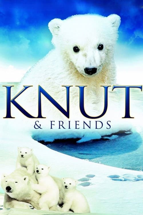 Poster for Knut & Friends