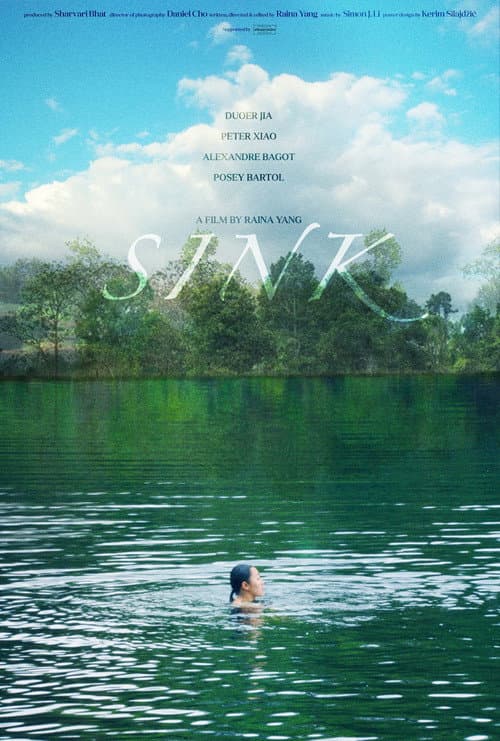 Poster for Sink