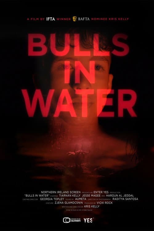 Poster for Bulls in Water