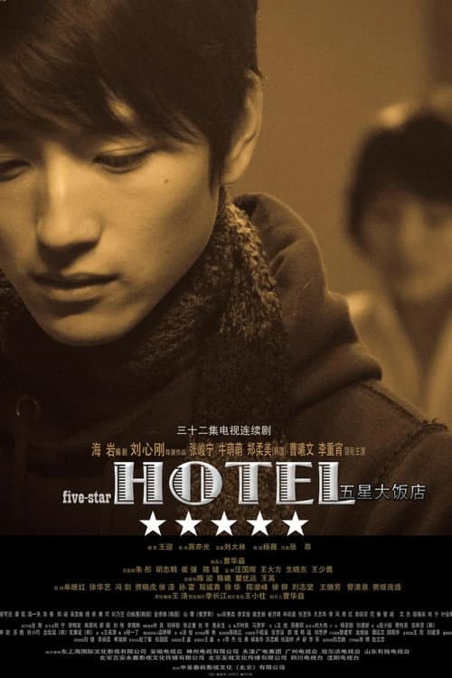 Poster for 五星大饭店
