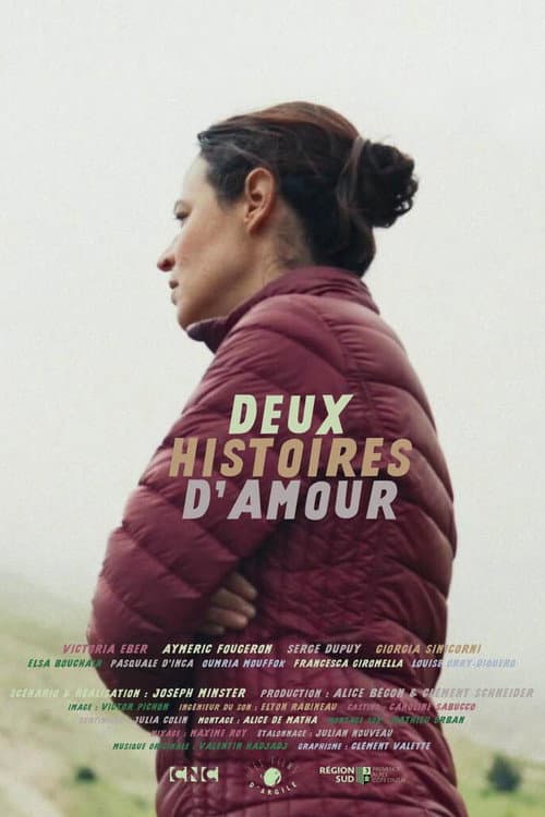 Poster for Two Love Stories