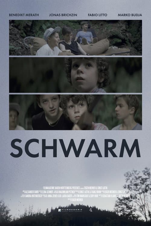 Poster for Swarm