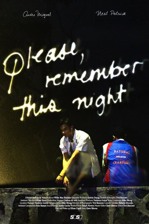 Poster for please, remember this night