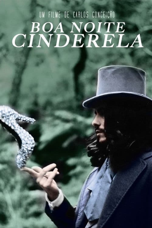 Poster for Goodnight Cinderella