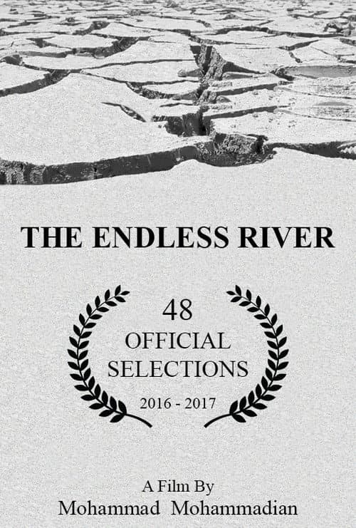 Poster for The Endless River