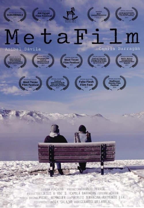Poster for MetaFilm