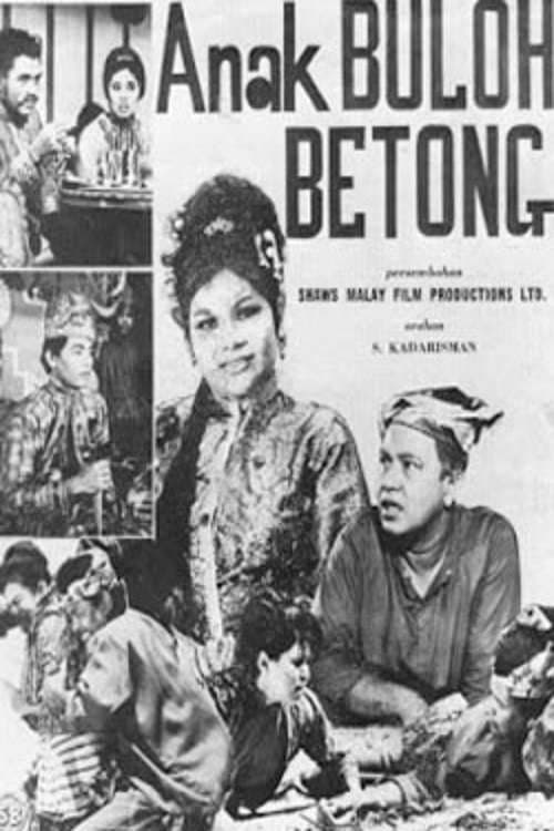 Poster for Anak Buloh Betong