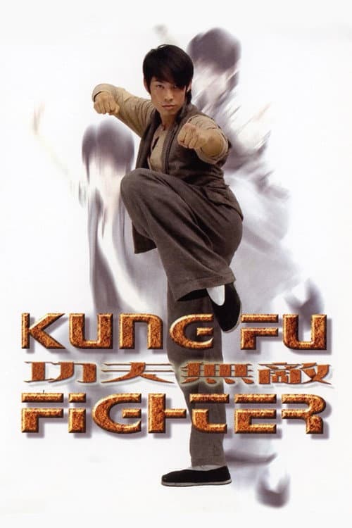 Poster for Kung Fu Fighter