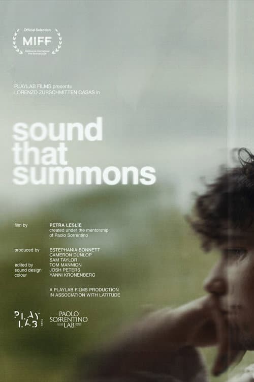 Poster for Sound That Summons