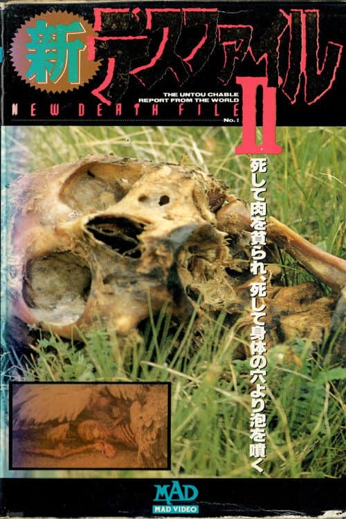Poster for New Death File II