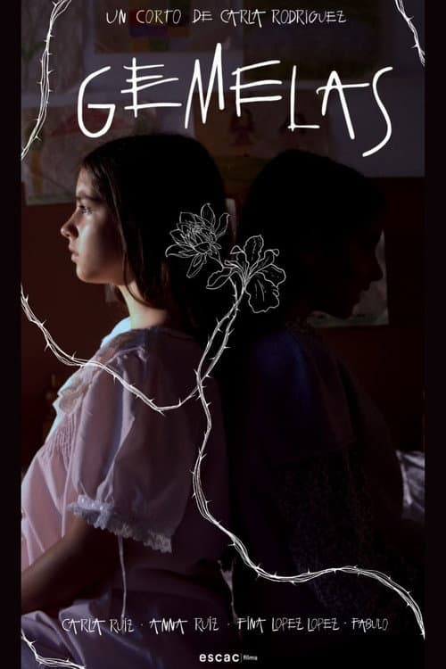 Poster for Gemelas