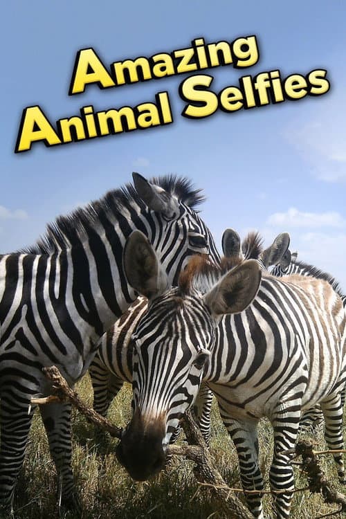 Poster for Amazing Animal Selfies