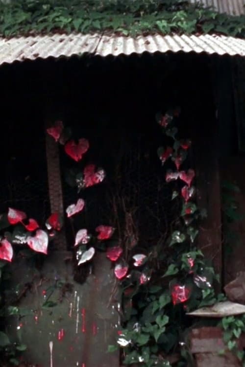 Poster for Shelter