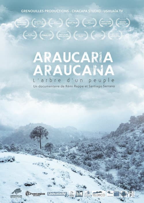 Poster for Araucaria Araucana