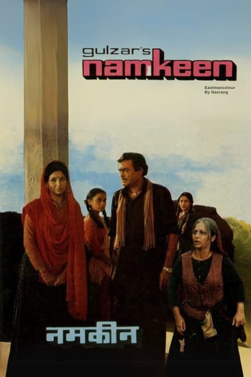 Poster for Namkeen