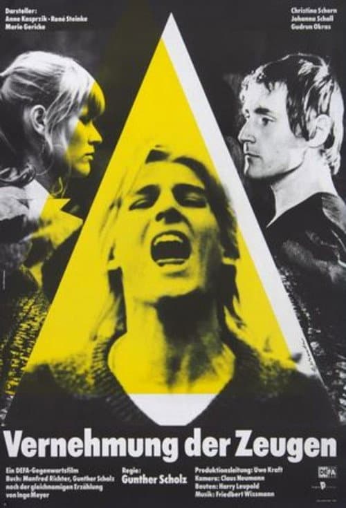 Poster for Interrogating the Witnesses