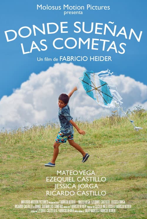 Poster for Donde Sueñan Las Cometas