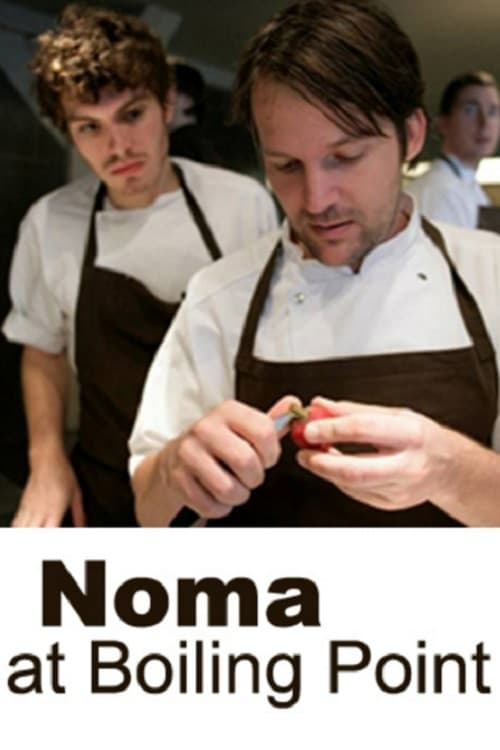 Poster for Noma at Boiling Point